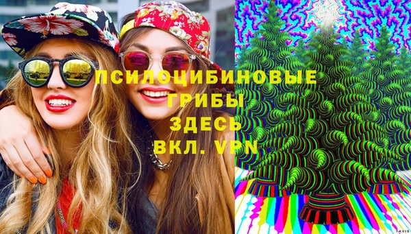 гашишное масло Инсар
